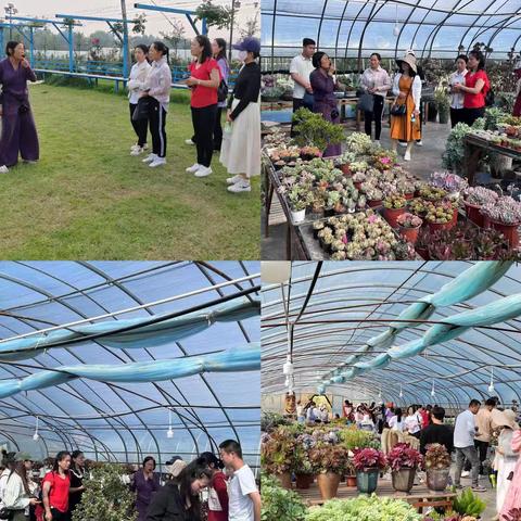 小美多肉研学之旅