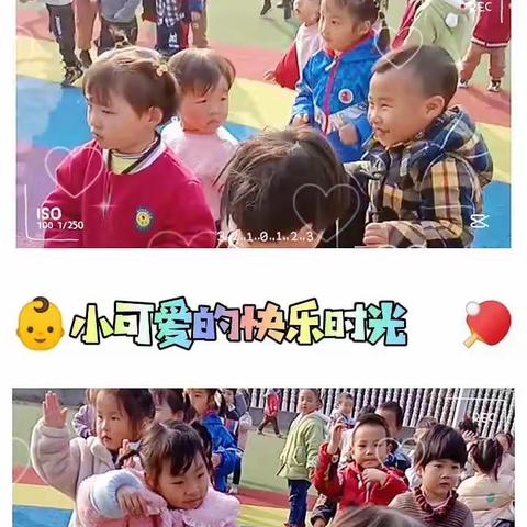 白云阳光幼儿园芽芽二班第14周