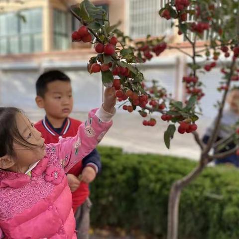 我和秋天有个约会-兰底中心幼儿园大班级部秋游记