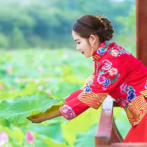 荷花缀鬓发·为你理红妆