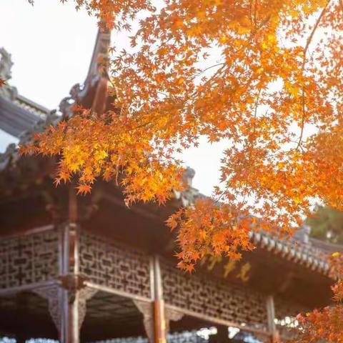 恒信外国语学校2022-2023学年第一学期第十一周6.2班学习生活纪实
