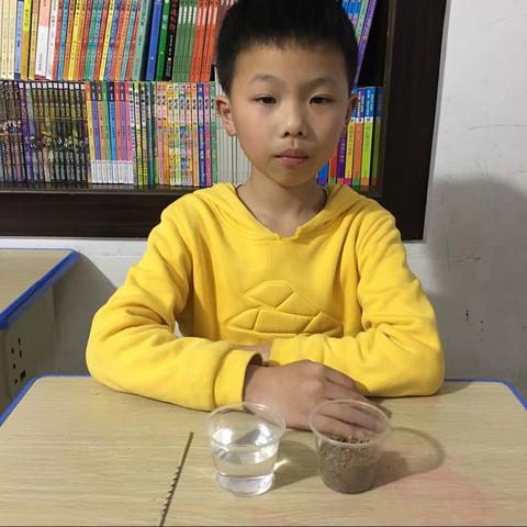 武川小学  四(4)班  31号  张嘉豪  《观察土壤》