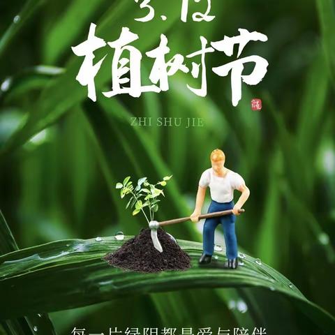 植树节！种下希望，收获未来！——吴河四小植树节美篇