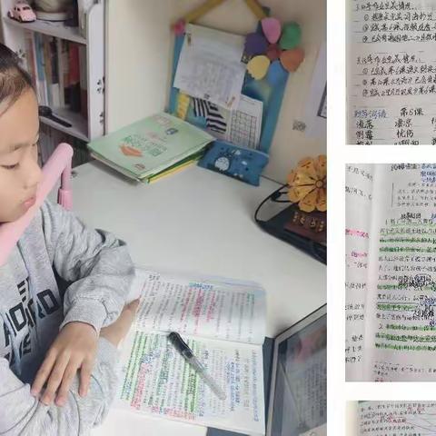 濮阳市油田第十中学六三班“五育并举”活动展示