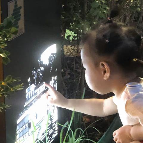 西海之人物