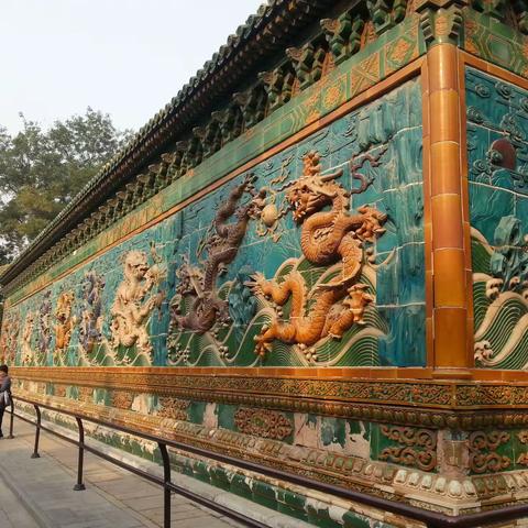2013北海菊展