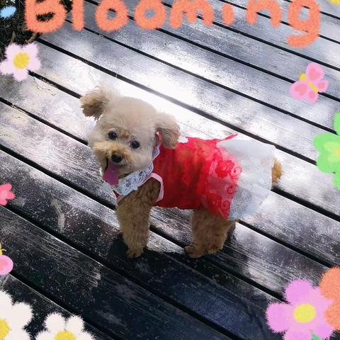 oneone宝贝七岁啦