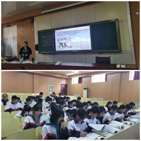 【东平明中】高一生物半天无课日教研活动