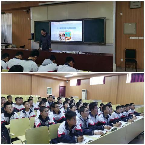 【东平明中】高一生物半天无课日教研活动