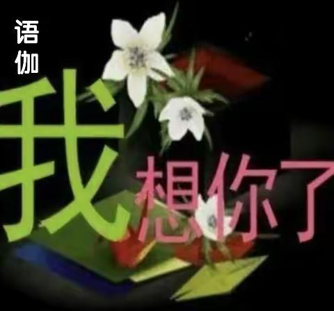 语伽；我想你啦！