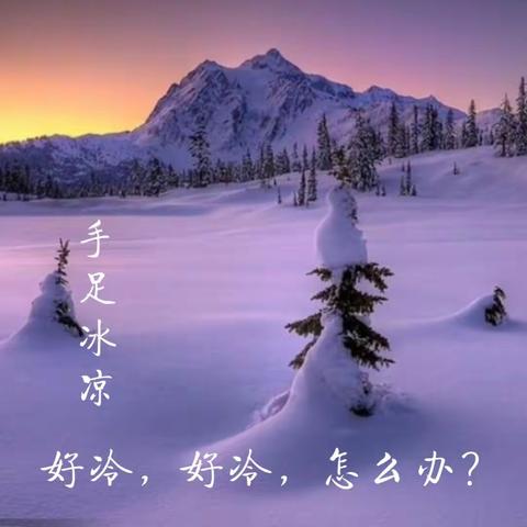 冬季怕冷，手脚冰凉怎么办？学会这几个美食，温暖整个冬天