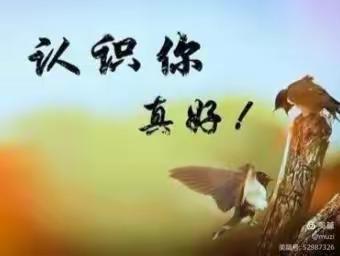回忆过去；认识你真好！