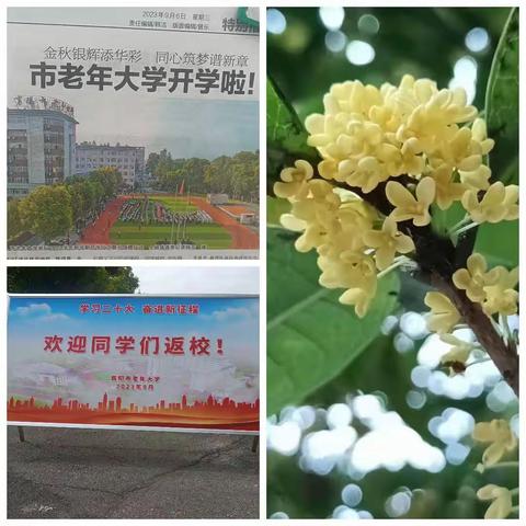 开  学  第  一  课