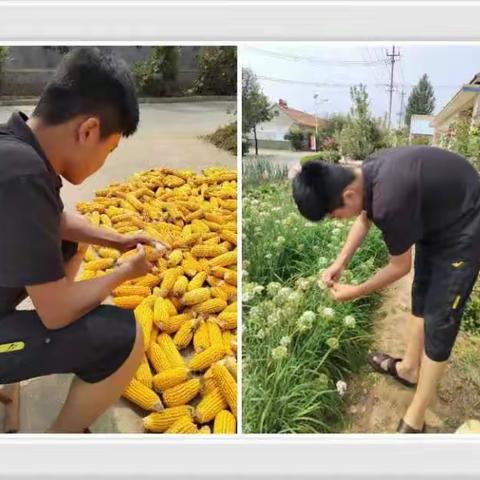 昌乐县实验中学初三、二部周末半日劳动实践——劳动最光荣