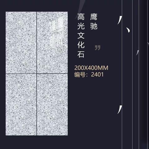 鹰驰  20x40 高光外墙