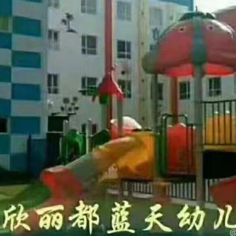 鹏欣丽都蓝天幼儿园幼小衔接中小班组“我最棒  我能行”主题活动