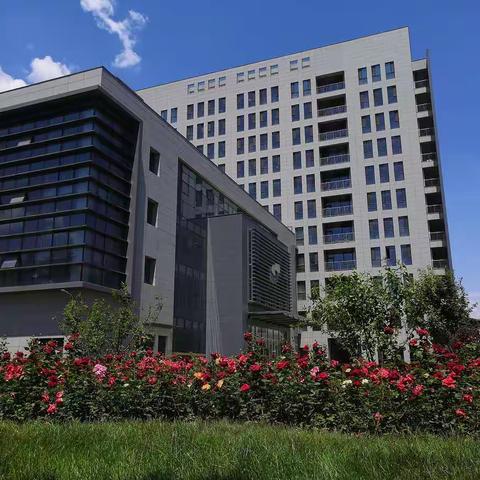 高能所大院的春花（月季篇）2020.5.28.