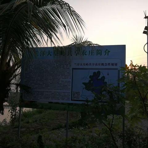 兰洋大皇岭共享农庄清晨美景