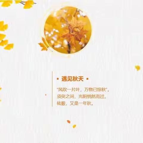 【秋叶美入“画”，遇见秋天】——川幼春晖沈家坝幼儿园大一班🍂树叶“贴画”来啦！