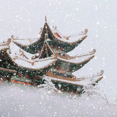 【金童乐幼儿园】二十四节气之大雪