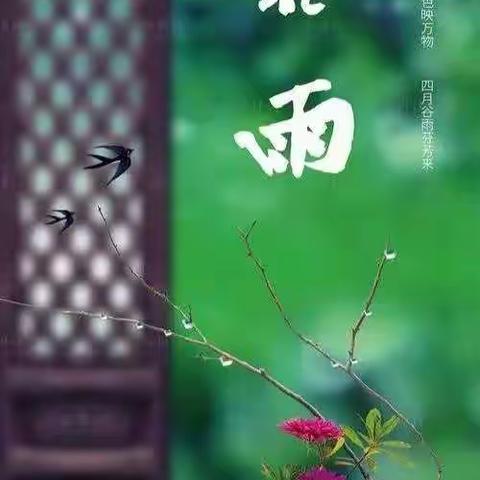 金童乐幼儿园谷雨——“雨生百谷 万物逢时”