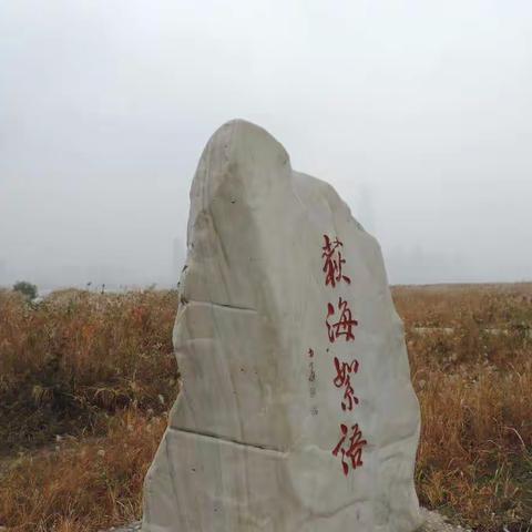 嘿，我们又来了