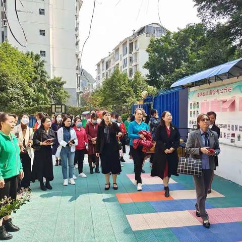 专家领航，助力成长