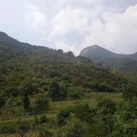 大美历山 美美与共——翼城、沁水两县财政干部开展庆“七一”同唱一首歌联谊活动录制