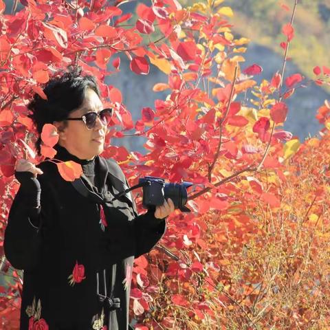 西山秀岭红叶飞，层林尽染人儿醉；欲问仙家何处去，北龙泉寺游一回。