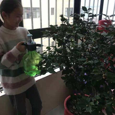 今天我当家                                     城关小学 五(四)班  宋紫薇