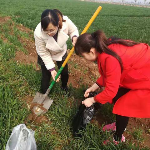 继续做好2019年小麦吸浆虫防治工作