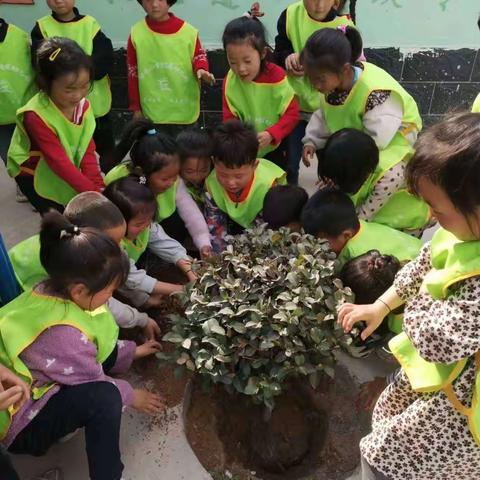 “植下希望，让梦想发芽”——半坡店镇第六中心小学附属幼儿园植树节教育主题活动