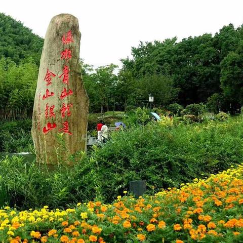 985高校联盟安吉行(四)