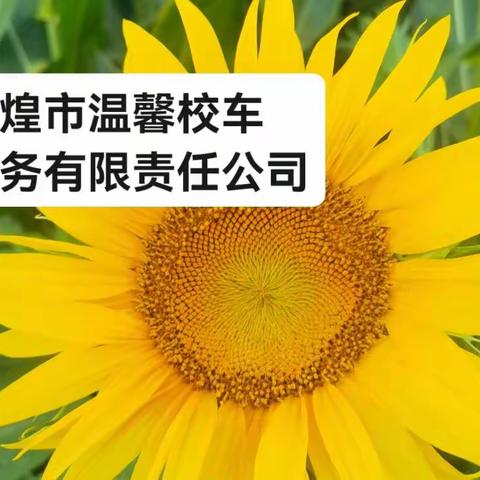 敦煌市温馨校车进入“暑期模式”啦