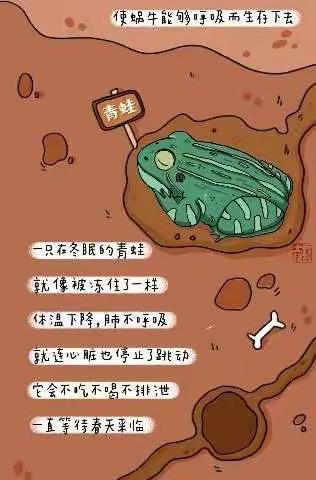 郑工幼儿园"快乐居家"12月15日"四个一"亲子活动指导