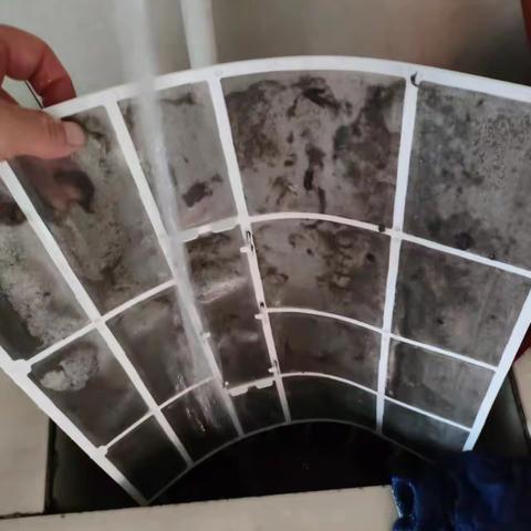 中考我们保驾护航