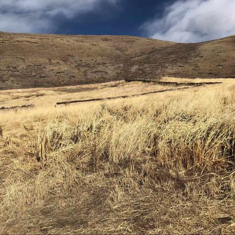 强化风险意识           提高防范效能