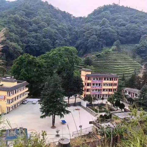 坝美镇石山小学：绿美校园建设初具雏形