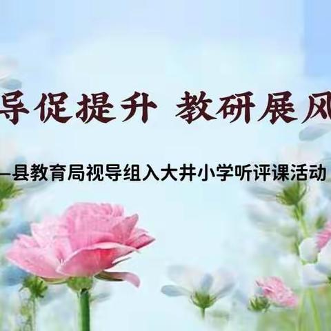 指导促提升 教研展风采——县教育局视导组领导入大井小学听评课活动纪实