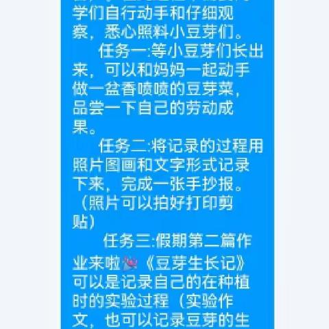 乐享暑假，悦见成长 ——和平小学第二小学三（2）班：综合实践作业《豆芽生长记》