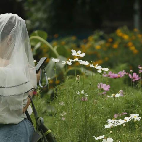 奥森的小花小草