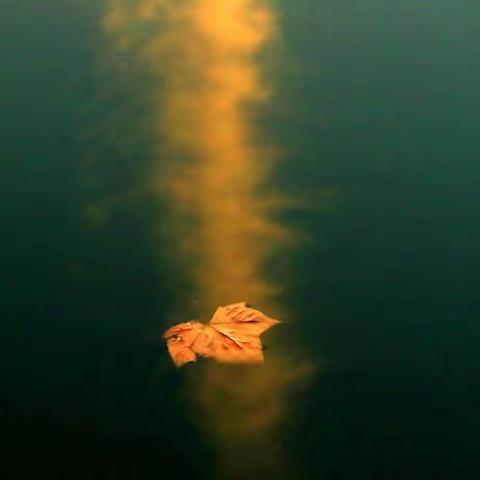 诗与人生的对话