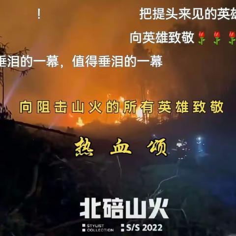 一次独特的截图记录，用新闻记者的角度截下最美画面，让我们记住你的美，你的帅，献给北碚大火救援的所有英雄们