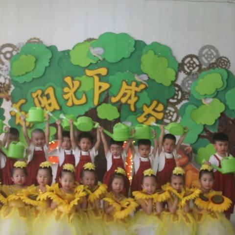 花儿在太阳光下成长