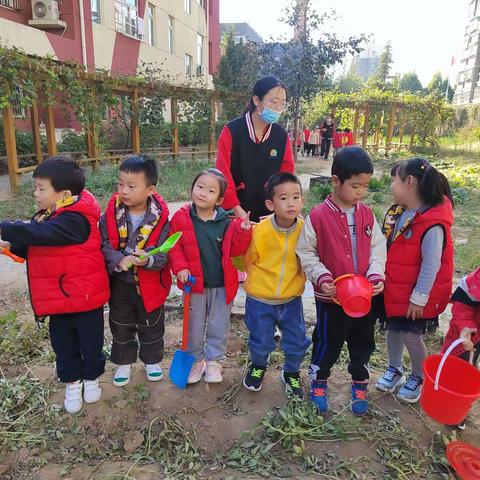 大七班🤝遇见花生🥜收获喜悦~~小小花生🥜故事多多！