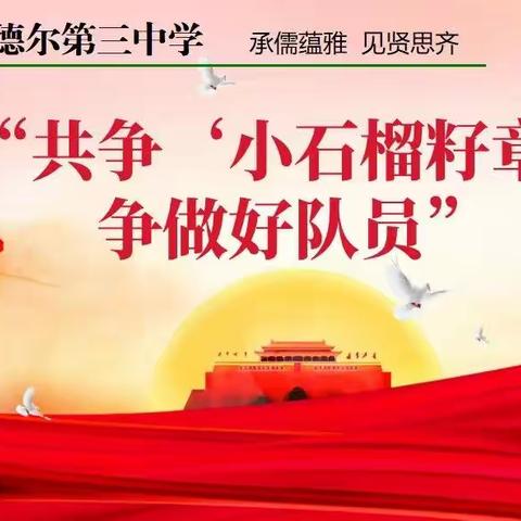 音德尔第三中学“小石榴籽章”争章系列活动