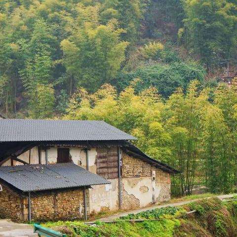 乡村美景中徒步（龙王村－白云场－沙岚垭）