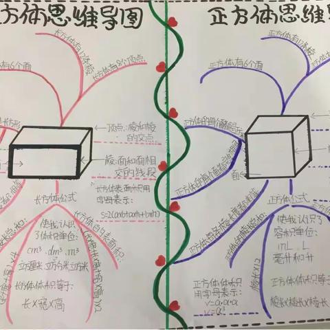 利用思维导图合理进行期末复习