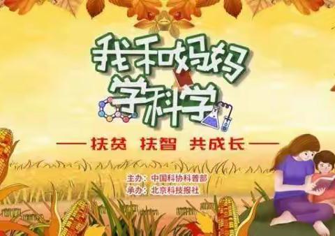 晋江市第三实验小学“我和妈妈学科学”科普作品展播（三年级）