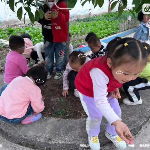 三穗县长吉镇中心幼儿园小班11月之记录宝贝在园的精彩时刻。